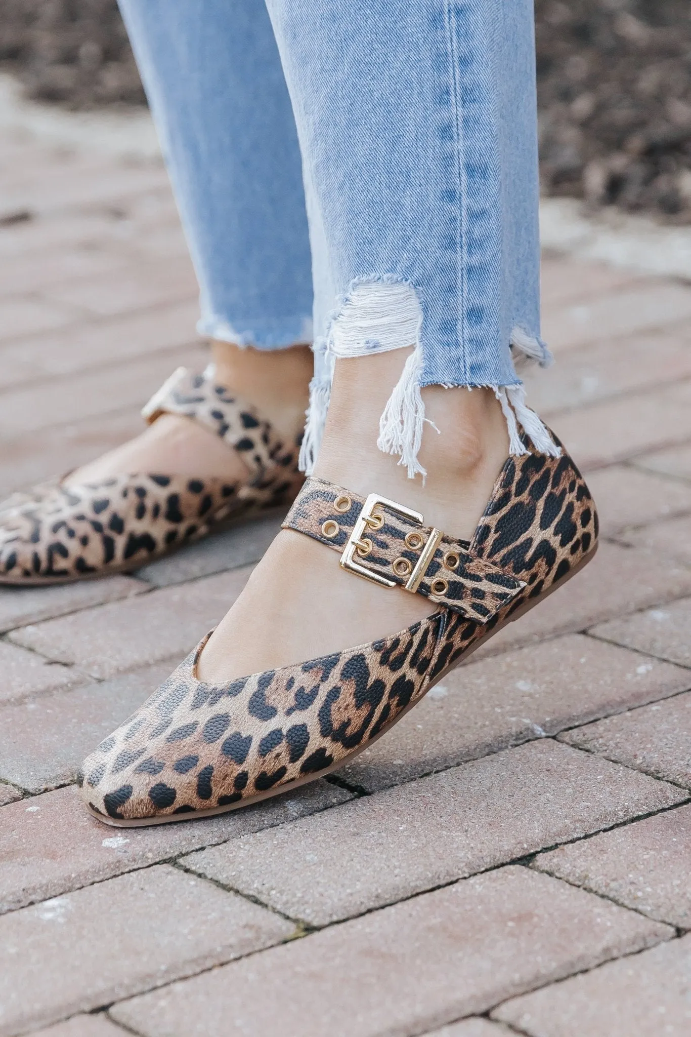 Adriana Brown Leopard Buckled Flats - FINAL SALE