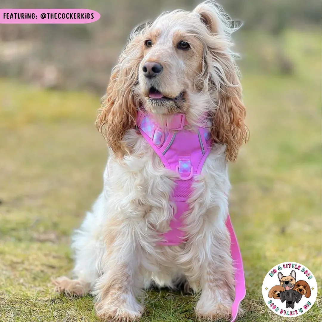 Big & Little Dogs All Rounder Harness - Pink