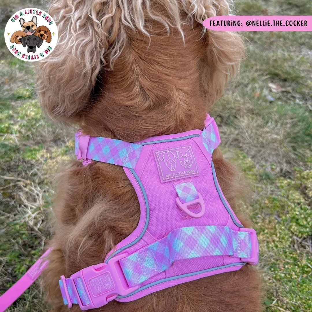 Big & Little Dogs All Rounder Harness - Pink