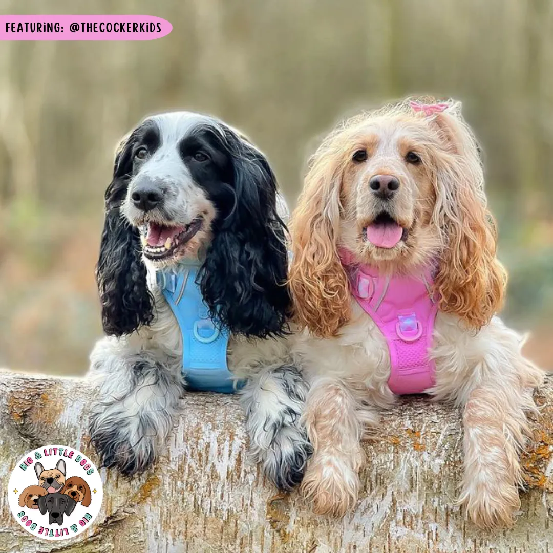 Big & Little Dogs All Rounder Harness - Pink