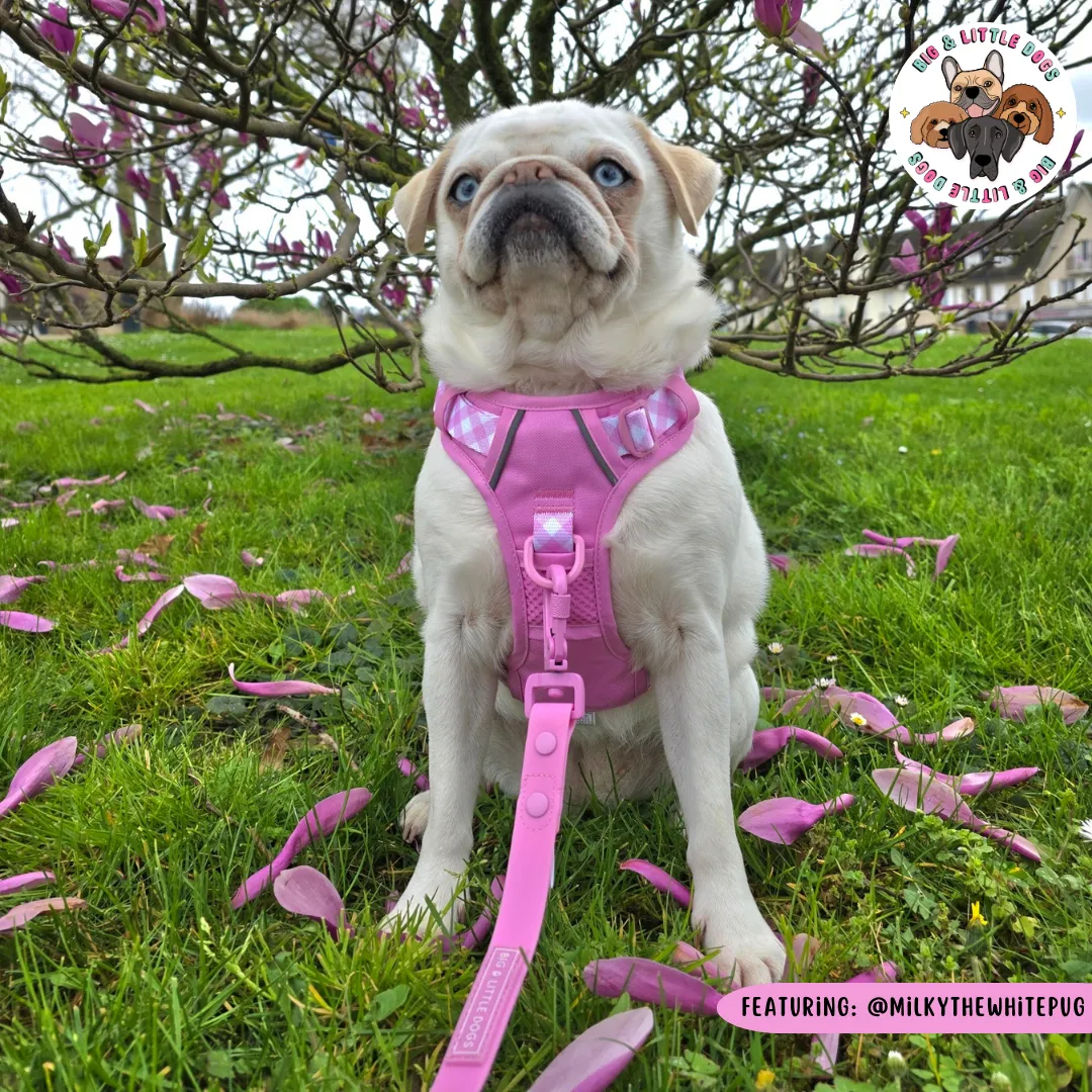 Big & Little Dogs All Rounder Harness - Pink