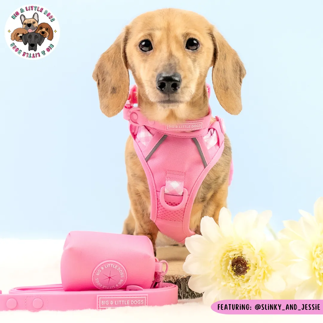 Big & Little Dogs All Rounder Harness - Pink