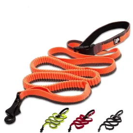 Bungee Leash