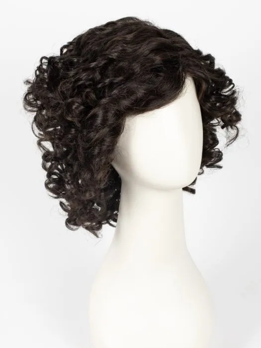 Curl Appeal | Synthetic Lace Front Wig (Basic Cap)