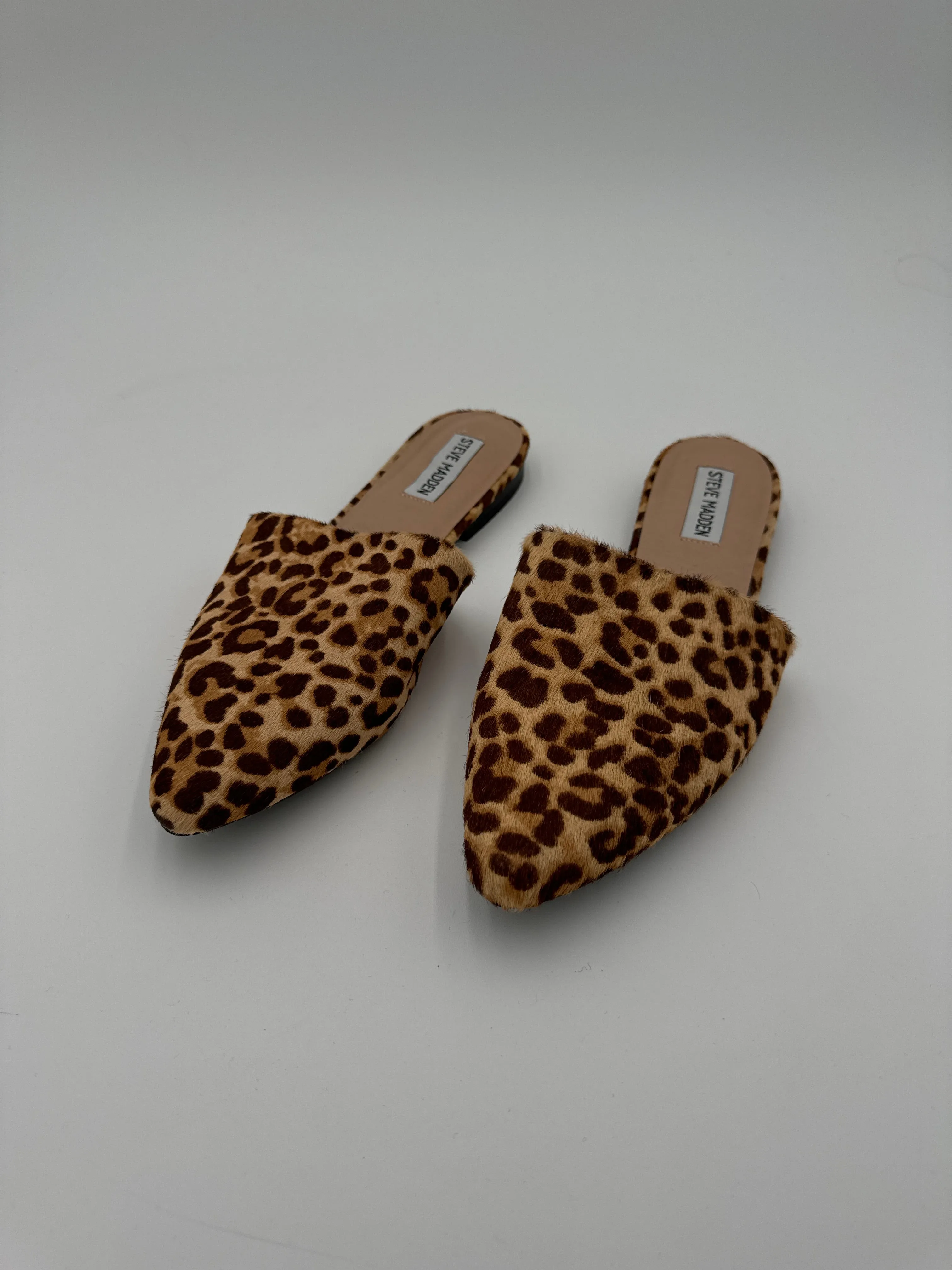 Shoes Flats By Steve Madden In Animal Print, Size: 9